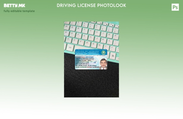 модерен стил Меѓународен превод на возачка дозвола photolook ПРЕДЕН шаблон