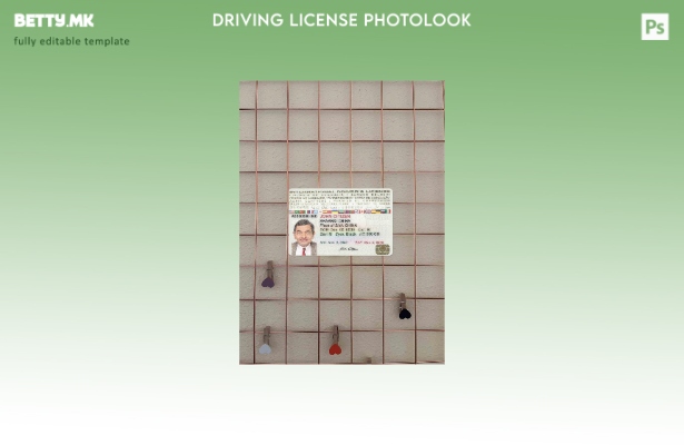 модерен стил Меѓународна возачка дозвола фото изглед ПРЕДЕН шаблон