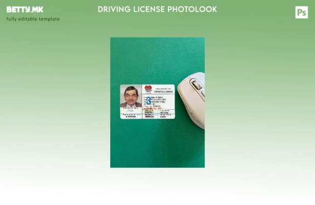 модерен стил Папуа Нова Гвинеја DL photolook FRONT шаблон