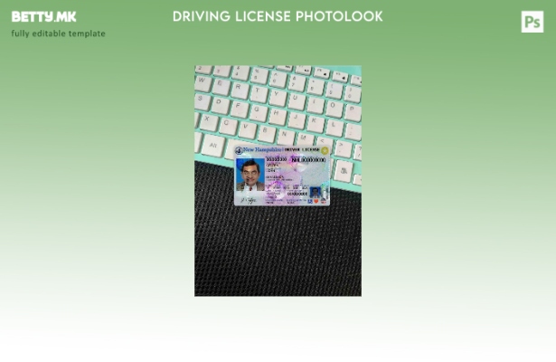 модерен стил САД Њу хемпшир DL photolook FRONT шаблон