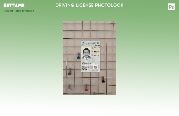 модерен стил САД Њујорк возачка дозвола под photolook ФРОНТ шаблон