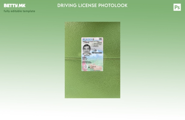 модерен стил САД Алјаска под шаблон за фото изглед на возачка дозвола