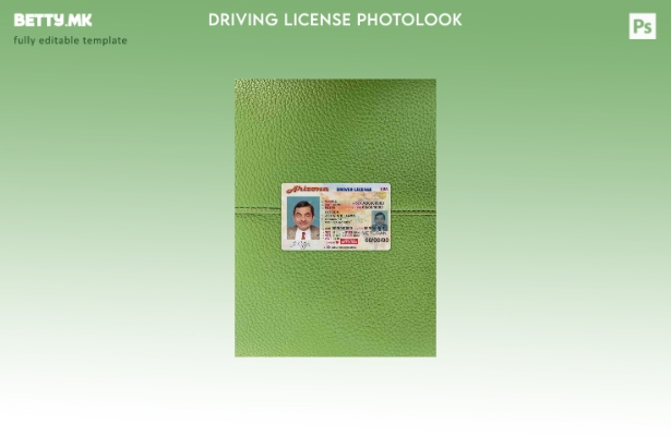 модерен стил САД Аризона возачка дозвола photolook ПРЕДЕН шаблон