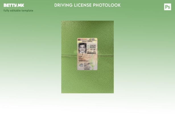 модерен стил САД Аризона под возачка дозвола го претставува предниот шаблон за ф