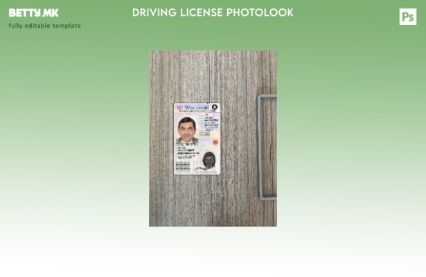 модерен стил САД Висконсин под возачка дозвола го претставува предниот шаблон за