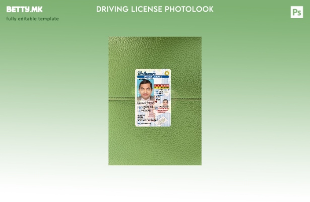 модерен стил САД Делавер под возачка дозвола photolook преден шаблон