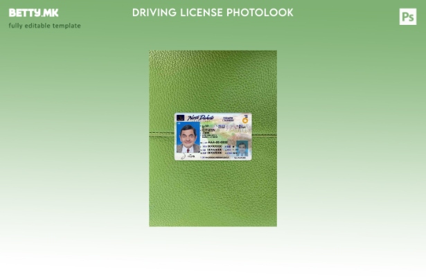 модерен стил САД Северна Дакота DL го претстави шаблонот за фото изглед ФРОНТ