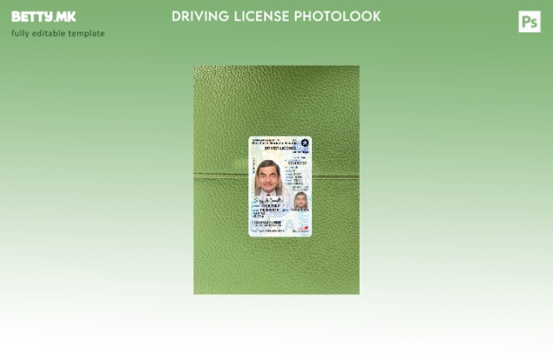 модерен стил САД Северните Маријански Острови под возачка дозвола презентираат п