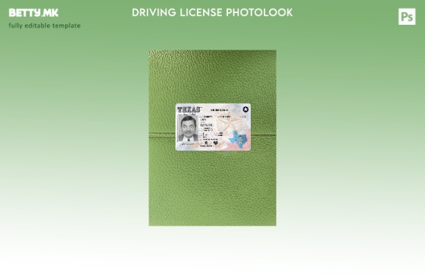 модерен стил САД Тексас возачка дозвола претставува преден шаблон photolook