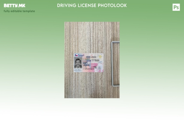 модерен стил САД Тексас нова верзија на возачка дозвола photolook преден шаблон