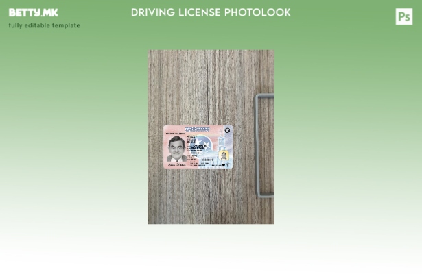 модерен стил САД Тенеси возачка дозвола претставува photolook предниот шаблон