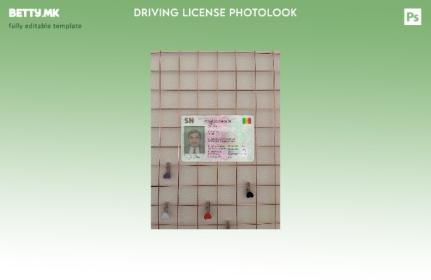 модерен стил Сенегал DL photolook FRONT шаблон