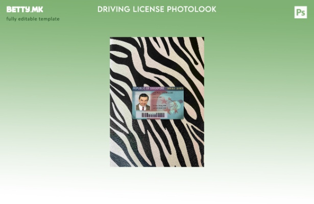 модерен стил Сингапур возачка дозвола photolook ПРЕДЕН шаблон