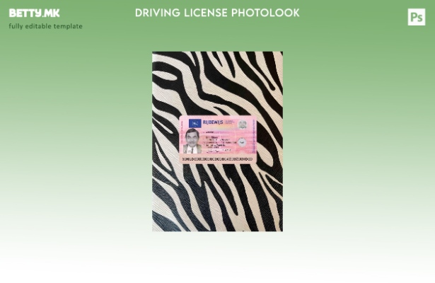 модерен стил Холандија нова возачка дозвола photolook ПРЕДЕН шаблон