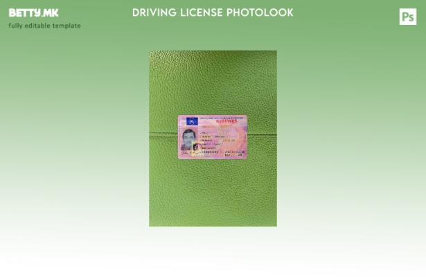 модерен стил Холандска возачка дозвола photolook ПРЕДЕН шаблон