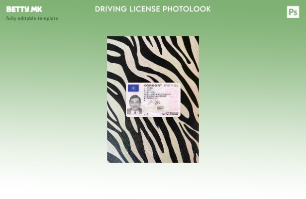 модерен стил Шведска DL ( ) photolook ПРЕДЕН шаблон