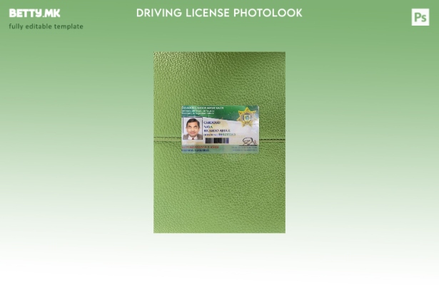 модерен стил на Мексико Јукатан, државната возачка дозвола, преден шаблон