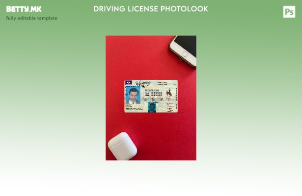 модерен стил на САД Вајоминг државната возачка дозвола photolook ПРЕДЕН шаблон