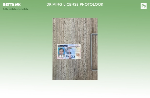 модерен стил на САД Пенсилванија возачка дозвола претставува photolook предниот