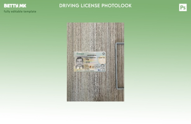 модерен стил на САД за возачка дозвола Вермонт го претставува предниот шаблон со