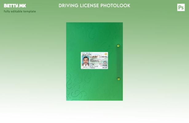 модерен стил на Соединетите Американски Држави Западна Вирџинија возачка дозвола