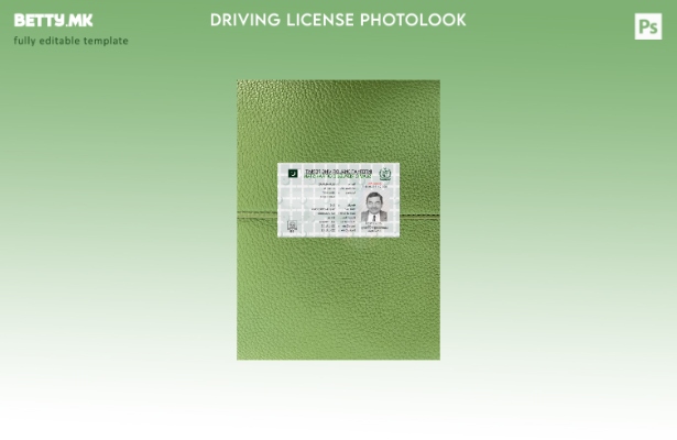 модерен стил пакистанската меѓународна возачка дозвола претставува преден шаблон