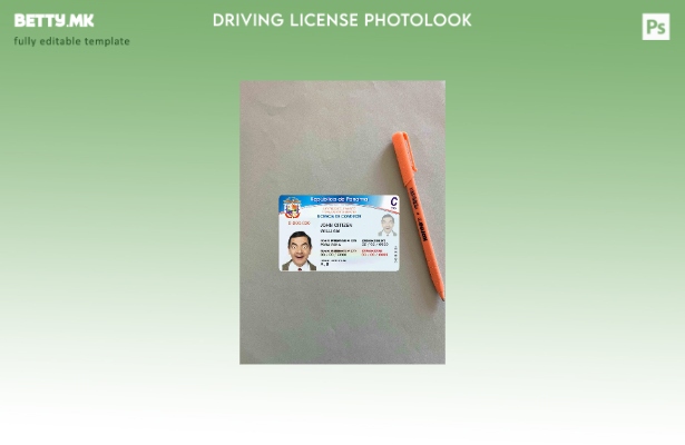 модерен стил Panama DL photolook FRONT шаблон