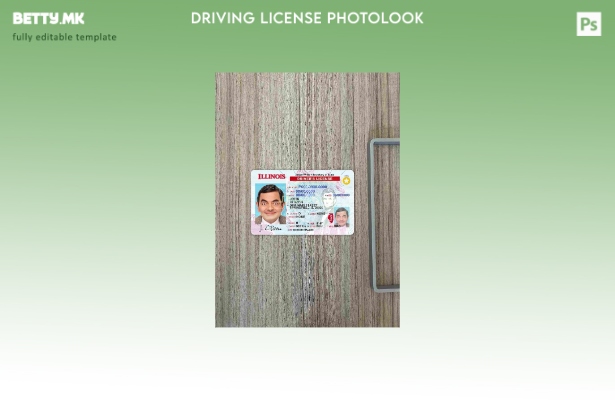 модерен стил USA Илиноис DL photolook FRONT шаблон