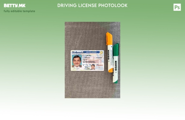 модерен стил USA Delaware DL photolook FRONT шаблон