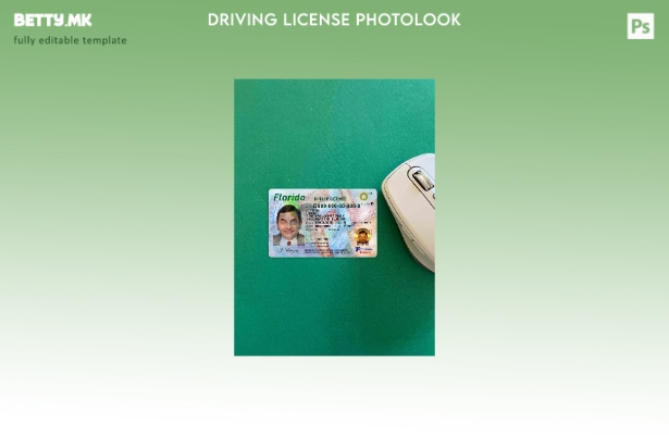 модерен стил USA Florida DL photolook FRONT шаблон