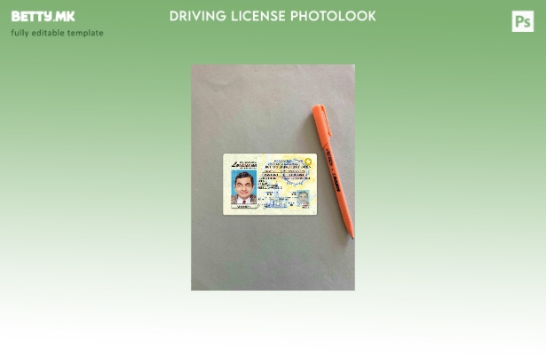 модерен стил USA Louisiana DL photolook FRONT шаблон