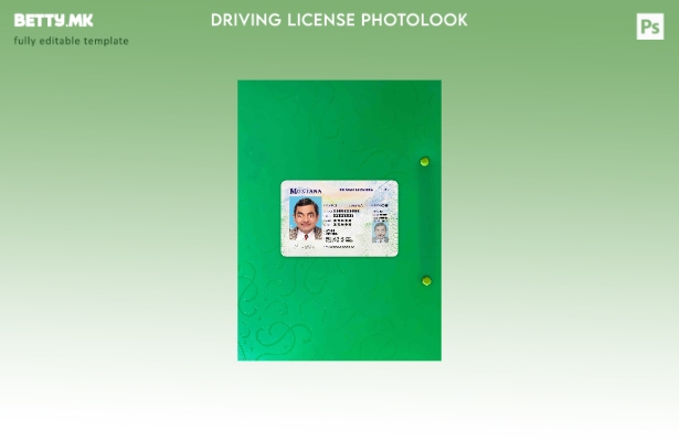 модерен стил USA Montana DL photolook FRONT шаблон