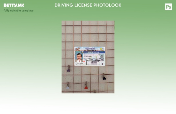 модерен стил USA Nevada DL photolook FRONT шаблон