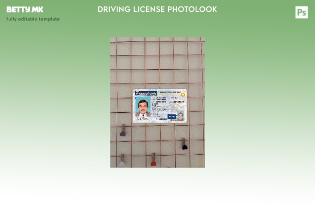 модерен стил USA Pensylvania DL photolook FRONT шаблон