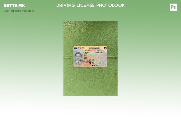 модерен стил, САД, возачка дозвола од Аризона, го претставува предниот шаблон со