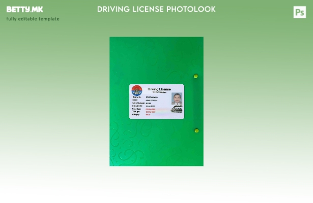 модерен стил, шаблон PSD за возачка дозвола од провинцијата Пакистан Синд, (стар