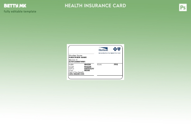 Модерен стил Шаблон за здравствено осигурување во Њу Џерси