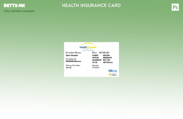 Модерен стил Шаблон за здравствено осигурување во Флорида