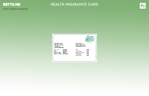 Модерен стил Шаблон за здравствено осигурување на островот Принц Едвард