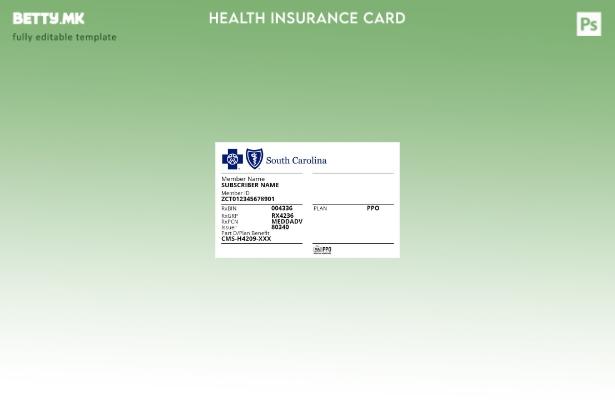Модерен стил Шаблон за картичка за здравствено осигурување во САД Јужна Каролина