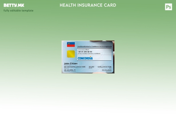 Модерен стил Шаблон за картичка за здравствено осигурување од Лихтенштајн