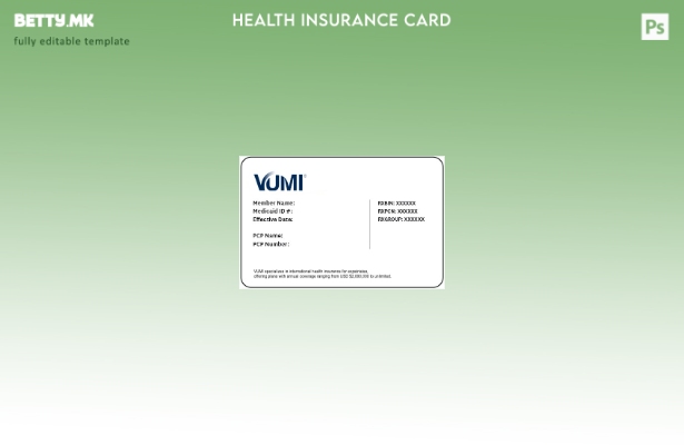 Модерен стил Шаблон за картички за здравствено осигурување во Парагвај
