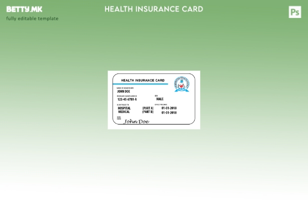 Модерен стил шаблон за картичка за здравствено осигурување Нигер