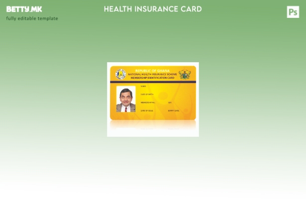 модерен стил Шаблон за национална шема за здравствено осигурување на Гана