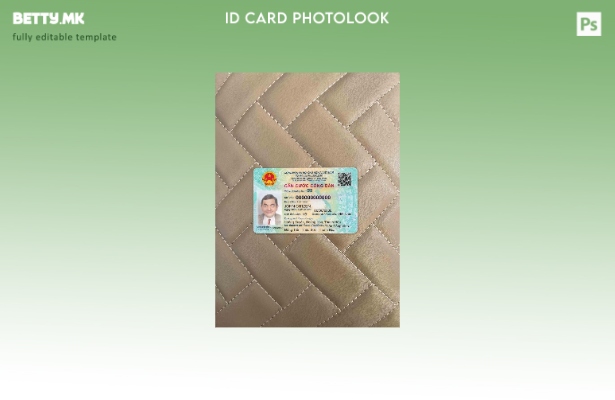 Модерен стил Виетнам лична карта ПРЕДЕН шаблон