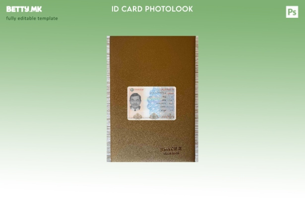 Модерен стил Иран лична карта photolook ПРЕДЕН шаблон