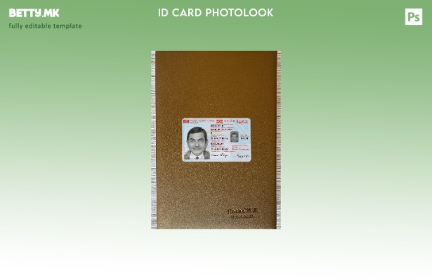 Модерен стил Норвешка лична карта е присутен преден шаблон со photolook