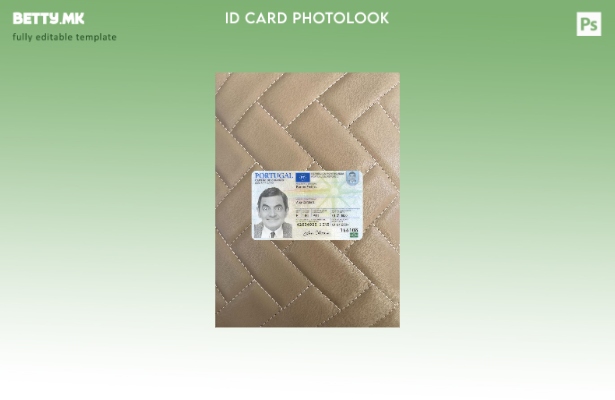 Модерен стил Португалија лична карта присутна photolook пред шаблон 1