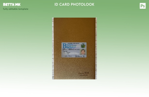 Модерен стил САД Њујорк Бенефит лична карта photolook пред шаблон