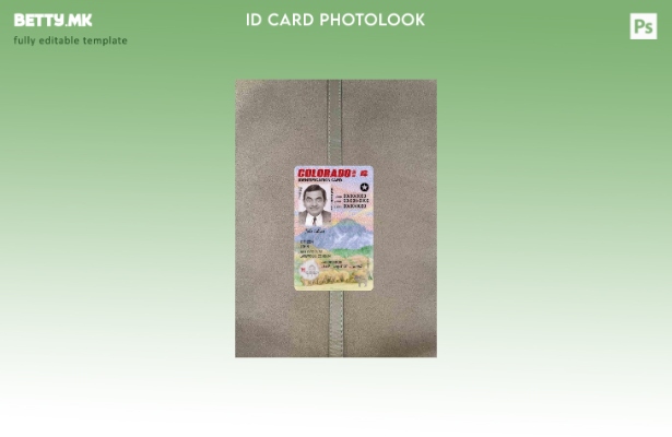 Модерен стил САД Колорадо лична карта под photolook ПРЕДЕН шаблон